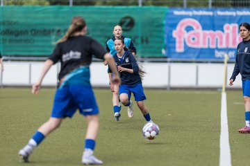 Bild 185 - wBJ Hamburger SV - FC Suederelbe : Ergebnis: 9:0
